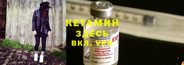 тгк Новозыбков