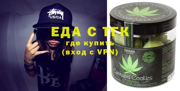 тгк Новозыбков