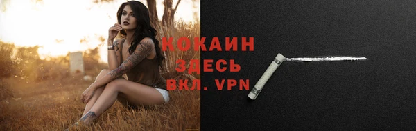 mix Новодвинск