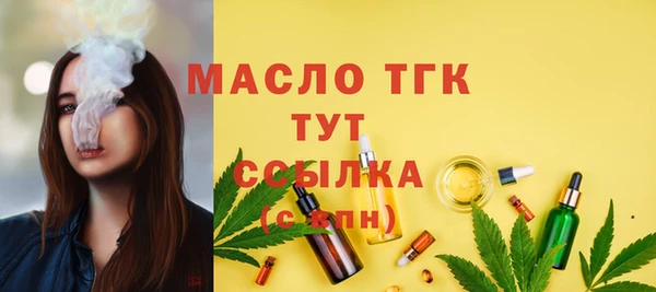 тгк Новозыбков