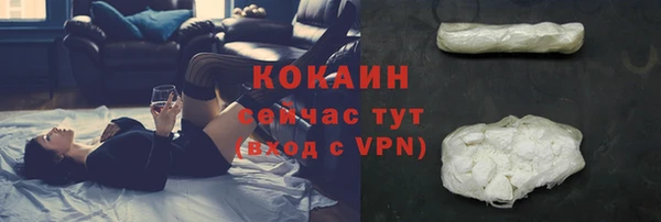 тгк Новозыбков