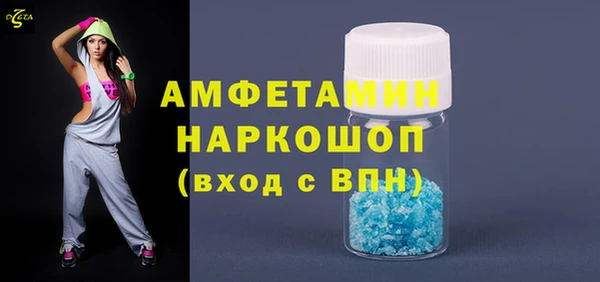 тгк Новозыбков