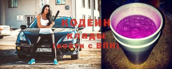 тгк Новозыбков