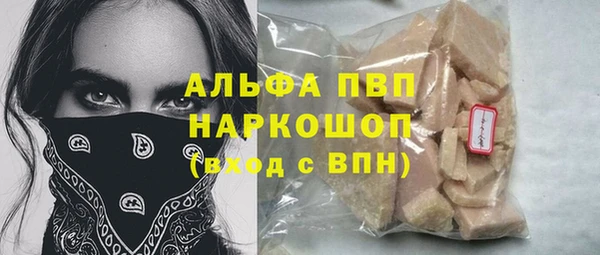 тгк Новозыбков