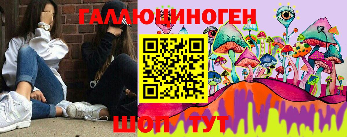 Нижнекамск  Галлюциногенные грибы Psilocybine cubensis  Вход с VPN 