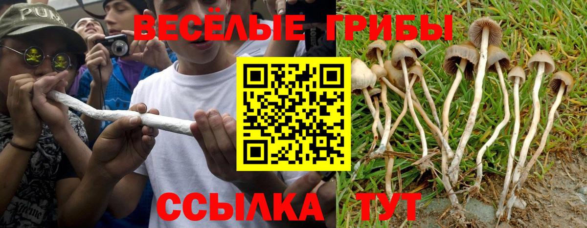 Галлюциногенные грибы GOLDEN TEACHER Нижнекамск